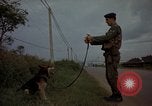 Image of sentry dogs Tan Son Nhut Air Force Base Vietnam, 1965, second 46 stock footage video 65675028513