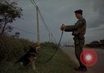 Image of sentry dogs Tan Son Nhut Air Force Base Vietnam, 1965, second 47 stock footage video 65675028513