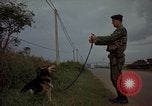 Image of sentry dogs Tan Son Nhut Air Force Base Vietnam, 1965, second 48 stock footage video 65675028513