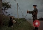 Image of sentry dogs Tan Son Nhut Air Force Base Vietnam, 1965, second 49 stock footage video 65675028513