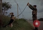 Image of sentry dogs Tan Son Nhut Air Force Base Vietnam, 1965, second 50 stock footage video 65675028513
