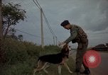 Image of sentry dogs Tan Son Nhut Air Force Base Vietnam, 1965, second 53 stock footage video 65675028513