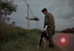 Image of sentry dogs Tan Son Nhut Air Force Base Vietnam, 1965, second 55 stock footage video 65675028513