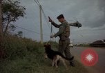 Image of sentry dogs Tan Son Nhut Air Force Base Vietnam, 1965, second 56 stock footage video 65675028513