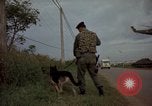 Image of sentry dogs Tan Son Nhut Air Force Base Vietnam, 1965, second 57 stock footage video 65675028513
