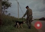 Image of sentry dogs Tan Son Nhut Air Force Base Vietnam, 1965, second 58 stock footage video 65675028513