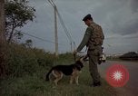 Image of sentry dogs Tan Son Nhut Air Force Base Vietnam, 1965, second 59 stock footage video 65675028513