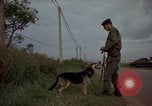 Image of sentry dogs Tan Son Nhut Air Force Base Vietnam, 1965, second 60 stock footage video 65675028513