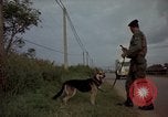Image of sentry dogs Tan Son Nhut Air Force Base Vietnam, 1965, second 61 stock footage video 65675028513