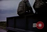 Image of sentry dogs Tan Son Nhut Air Force Base Vietnam, 1965, second 31 stock footage video 65675028514