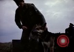 Image of sentry dogs Tan Son Nhut Air Force Base Vietnam, 1965, second 35 stock footage video 65675028514