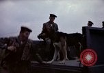 Image of sentry dogs Tan Son Nhut Air Force Base Vietnam, 1965, second 36 stock footage video 65675028514