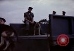 Image of sentry dogs Tan Son Nhut Air Force Base Vietnam, 1965, second 39 stock footage video 65675028514