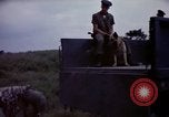 Image of sentry dogs Tan Son Nhut Air Force Base Vietnam, 1965, second 40 stock footage video 65675028514