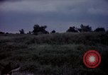 Image of sentry dogs Tan Son Nhut Air Force Base Vietnam, 1965, second 52 stock footage video 65675028514