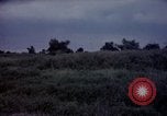 Image of sentry dogs Tan Son Nhut Air Force Base Vietnam, 1965, second 53 stock footage video 65675028514