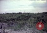 Image of sentry dogs Tan Son Nhut Air Force Base Vietnam, 1965, second 54 stock footage video 65675028514