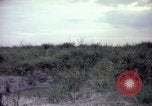 Image of sentry dogs Tan Son Nhut Air Force Base Vietnam, 1965, second 55 stock footage video 65675028514