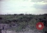 Image of sentry dogs Tan Son Nhut Air Force Base Vietnam, 1965, second 56 stock footage video 65675028514