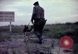 Image of sentry dogs Tan Son Nhut Air Force Base Vietnam, 1965, second 60 stock footage video 65675028514