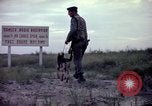 Image of sentry dogs Tan Son Nhut Air Force Base Vietnam, 1965, second 61 stock footage video 65675028514