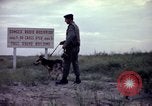Image of sentry dogs Tan Son Nhut Air Force Base Vietnam, 1965, second 62 stock footage video 65675028514
