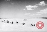 Image of United States farmers United States USA, 1943, second 7 stock footage video 65675028522
