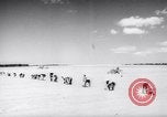 Image of United States farmers United States USA, 1943, second 8 stock footage video 65675028522