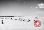 Image of United States farmers United States USA, 1943, second 9 stock footage video 65675028522
