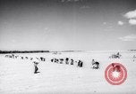 Image of United States farmers United States USA, 1943, second 11 stock footage video 65675028522
