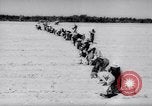 Image of United States farmers United States USA, 1943, second 12 stock footage video 65675028522