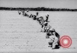 Image of United States farmers United States USA, 1943, second 13 stock footage video 65675028522