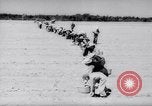 Image of United States farmers United States USA, 1943, second 14 stock footage video 65675028522
