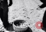 Image of United States farmers United States USA, 1943, second 19 stock footage video 65675028522