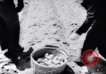 Image of United States farmers United States USA, 1943, second 20 stock footage video 65675028522