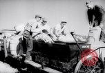 Image of United States farmers United States USA, 1943, second 22 stock footage video 65675028522