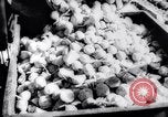 Image of United States farmers United States USA, 1943, second 26 stock footage video 65675028522