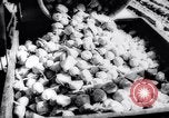 Image of United States farmers United States USA, 1943, second 27 stock footage video 65675028522