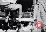 Image of United States farmers United States USA, 1943, second 33 stock footage video 65675028522