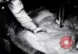 Image of rubber factory United States USA, 1943, second 54 stock footage video 65675028526