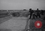 Standbild M-3 Tank Aberdeen Maryland USA, 1941, aus Sekunde 30 historischem Filmmaterial Videoclip 65675028538