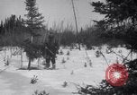 Image zone couverte de neige British Columbia, 1941, de la seconde 30 séquences d'archives historiques vidéo 65675028539