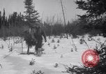 Image zone couverte de neige British Columbia, 1941, de la seconde 31 séquences d'archives historiques vidéo 65675028539