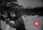 Image zone couverte de neige British Columbia, 1941, de la seconde 38 séquences d'archives historiques vidéo 65675028539