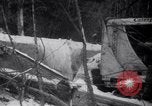 Image zone couverte de neige British Columbia, 1941, de la seconde 47 séquences d'archives historiques vidéo 65675028539