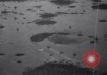 Immagine di Crash aereo Vero Beach Florida USA, 1941, secondo 6 filmato di repertorio 65675028545
