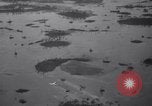Immagine di Crash aereo Vero Beach Florida USA, 1941, secondo 8 filmato di repertorio 65675028545