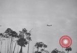 Immagine di Crash aereo Vero Beach Florida USA, 1941, secondo 22 filmato di repertorio 65675028545