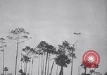 Immagine di Crash aereo Vero Beach Florida USA, 1941, secondo 23 filmato di repertorio 65675028545