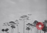 Immagine di Crash aereo Vero Beach Florida USA, 1941, secondo 25 filmato di repertorio 65675028545